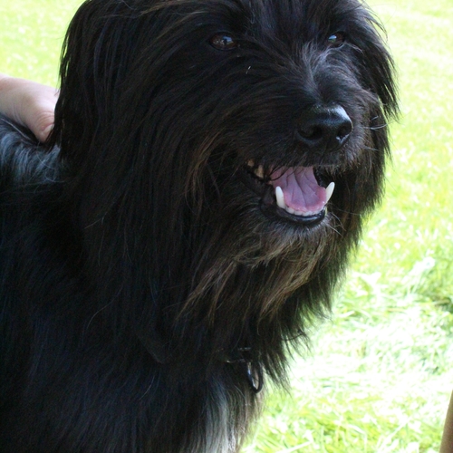 Ausflug im Juli 2016 (18)